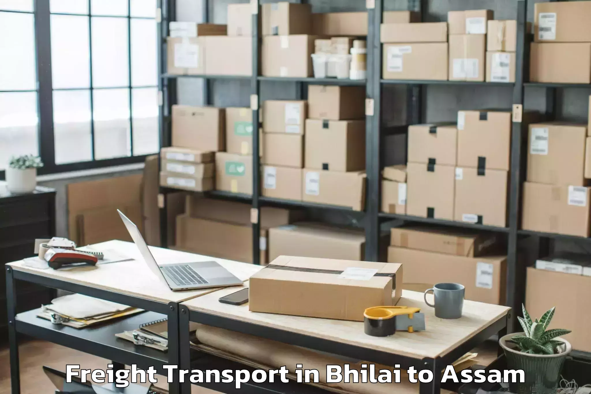 Trusted Bhilai to Dhing Freight Transport